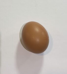 Egg